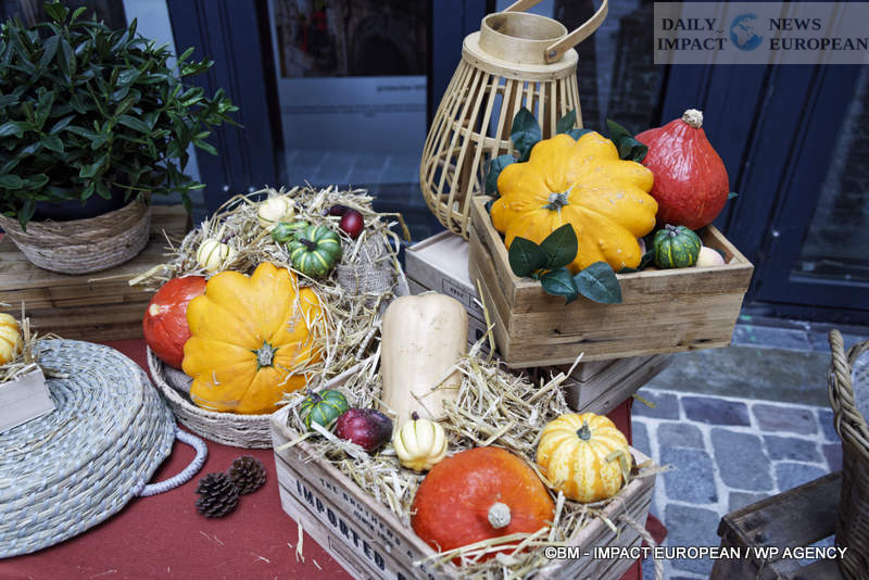 Salon-de-la-photo-2025-017 Photo Fair 2025: Innovations, Brands, and Immersive Experiences