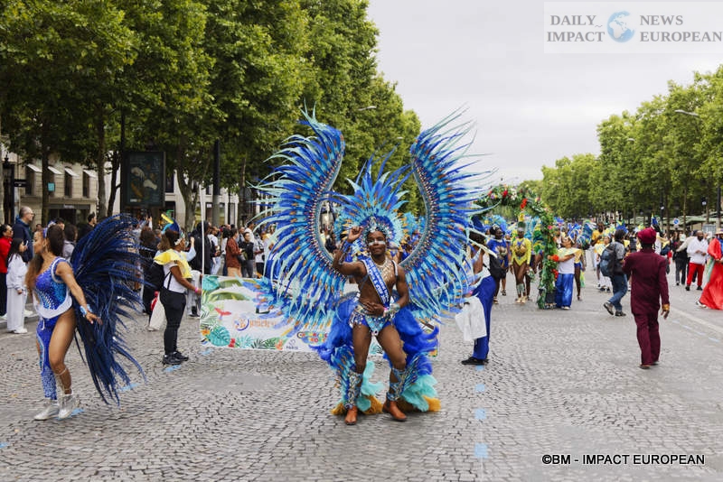 Carnaval-Tropical-067 Paris: Topical Carnival Celebrates the Amazon for its 25th Anniversary