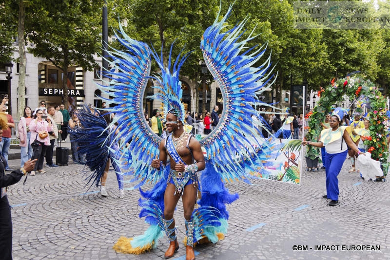 Carnaval-Tropical-068 Paris: Topical Carnival Celebrates the Amazon for its 25th Anniversary
