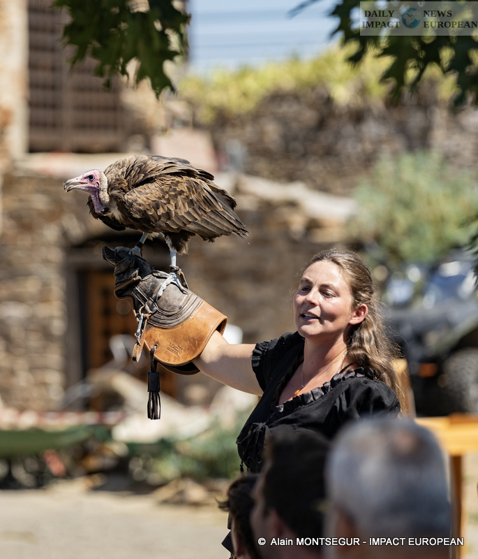 9T7A8864 Pagax Castle: History, Legends and Medieval Shows