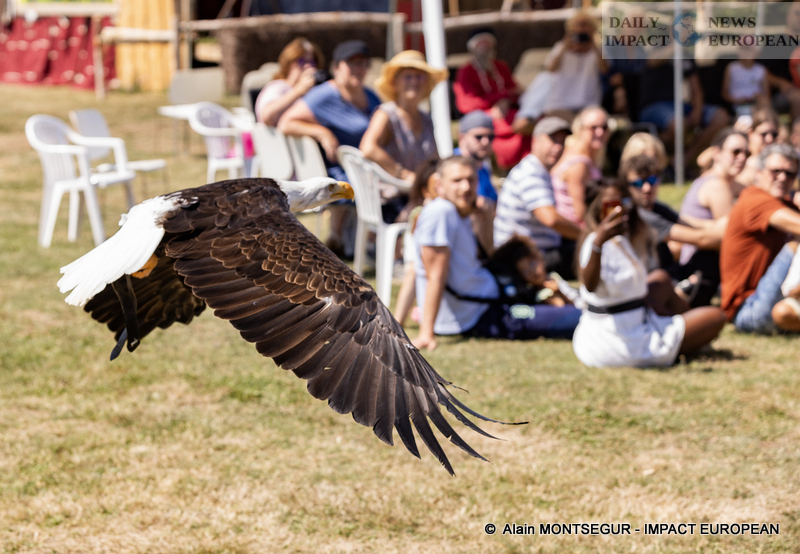 9T7A8878 Pagax Castle: History, Legends and Medieval Shows