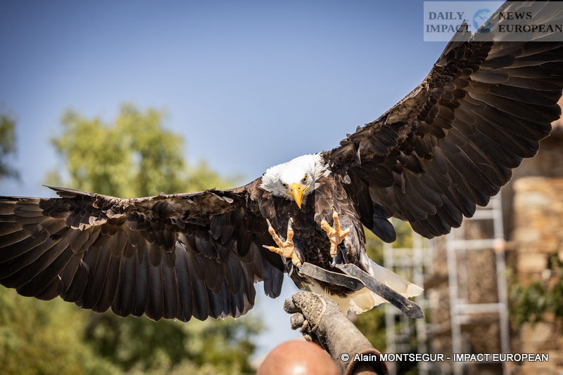 9T7A8886 Pagax Castle: History, Legends and Medieval Shows