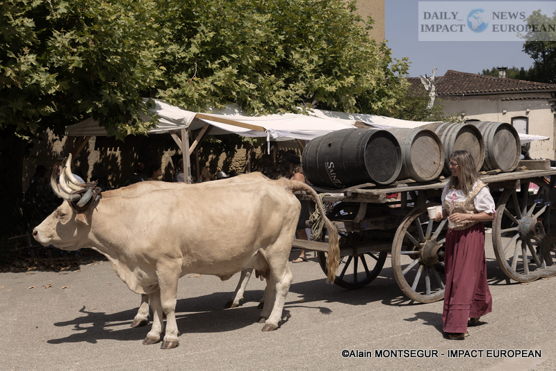 9T7A9681 Lupiac Honors Its Musketeers at the d’Artagnan Festival – 17th Century Journey