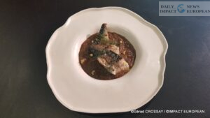 20251020_164312-300x169 Salon du BON 2025: Excellence, Ethics and Taste according to Thierry Marx