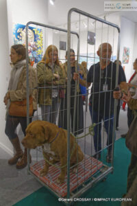 5479-200x300 Modern Art Fair 2025: Highlights and Success