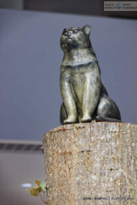 exposition-generale-fondation-cartier-21-200x300 General Exhibition: when the Cartier Foundation breathes new life into Paris and art