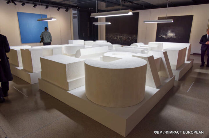 Exposition Générale Fondation Cartier Paris, art contemporain