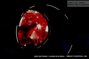 Jardin-des-plantes-00003-300x200 Lights of Nature at the Jardin des Plantes, an Immersive Project Reinventing Biodiversity and Scientific Outreach