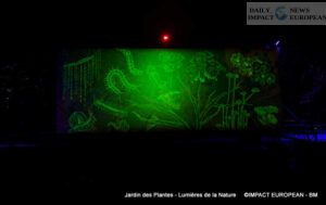 Jardin-des-plantes-00005-300x189 Lights of Nature at the Jardin des Plantes, an Immersive Project Reinventing Biodiversity and Scientific Outreach