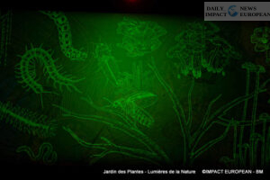 Jardin-des-plantes-00006-300x200 Lights of Nature at the Jardin des Plantes, an Immersive Project Reinventing Biodiversity and Scientific Outreach