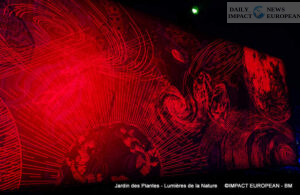 Jardin-des-plantes-00007-300x195 Lights of Nature at the Jardin des Plantes, an Immersive Project Reinventing Biodiversity and Scientific Outreach