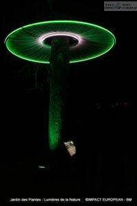 Jardin-des-plantes-00017-200x300 Lights of Nature at the Jardin des Plantes, an Immersive Project Reinventing Biodiversity and Scientific Outreach