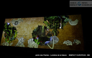 Jardin-des-plantes-00021-300x189 Lights of Nature at the Jardin des Plantes, an Immersive Project Reinventing Biodiversity and Scientific Outreach
