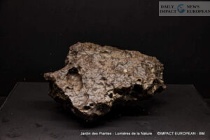 Jardin-des-plantes-00034-300x200 Lights of Nature at the Jardin des Plantes, an Immersive Project Reinventing Biodiversity and Scientific Outreach