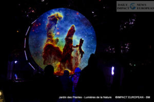 Jardin-des-plantes-00037-300x200 Lights of Nature at the Jardin des Plantes, an Immersive Project Reinventing Biodiversity and Scientific Outreach