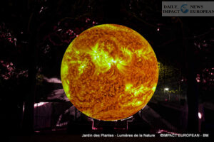 Jardin-des-plantes-00042-300x200 Lights of Nature at the Jardin des Plantes, an Immersive Project Reinventing Biodiversity and Scientific Outreach