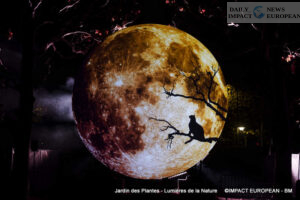 Jardin-des-plantes-00046-300x200 Lights of Nature at the Jardin des Plantes, an Immersive Project Reinventing Biodiversity and Scientific Outreach