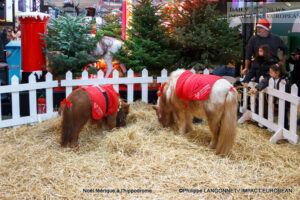 MG_3705-300x200 A Magical Christmas at the Racecourse: When the Spirit of the Holidays Meets Trot Racing Champions