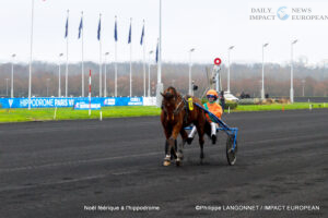 MG_4662-300x200 A Magical Christmas at the Racecourse: When the Spirit of the Holidays Meets Trot Racing Champions