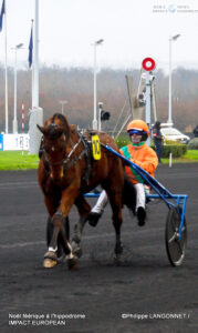 MG_4662.R-179x300 A Magical Christmas at the Racecourse: When the Spirit of the Holidays Meets Trot Racing Champions