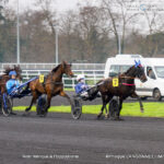 Christmas at the racecourse – mini horses and Santa Claus