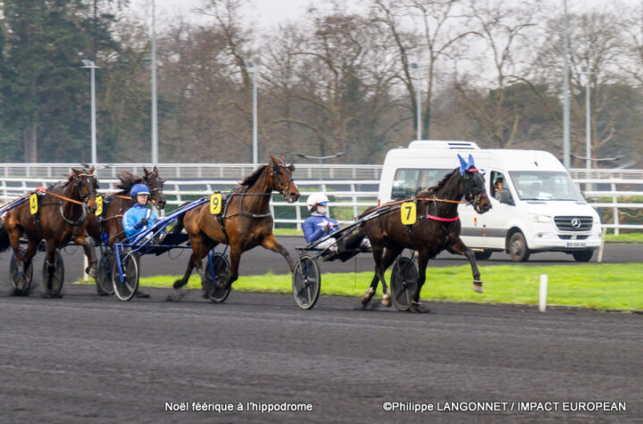 Christmas at the racecourse – mini horses and Santa Claus