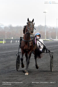 MG_4812-200x300 A Magical Christmas at the Racecourse: When the Spirit of the Holidays Meets Trot Racing Champions