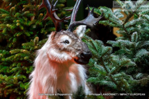 MG_4831-300x200 A Magical Christmas at the Racecourse: When the Spirit of the Holidays Meets Trot Racing Champions