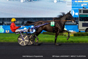 MG_4949-300x200 A Magical Christmas at the Racecourse: When the Spirit of the Holidays Meets Trot Racing Champions