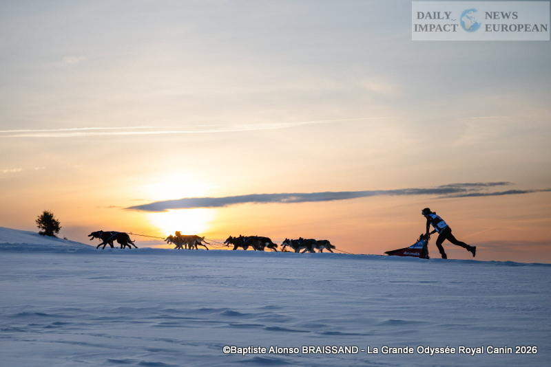 La Grande Odyssée Royal Canin 2026