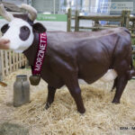 This year, the new identity of the international agricultural show