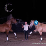 Laurent Douziech with Douro and Vicio during their liberty performance at Équi’noche 2026 in Castelmayran