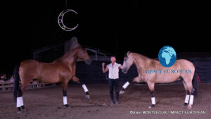 Laurent Douziech with Douro and Vicio during their liberty performance at Équi’noche 2026 in Castelmayran