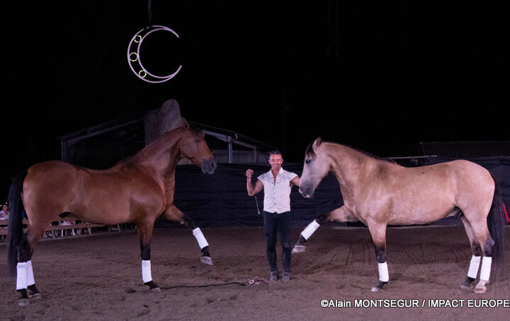 Laurent Douziech with Douro and Vicio during their liberty performance at Équi’noche 2026 in Castelmayran