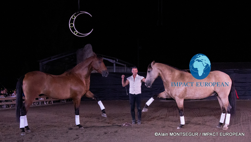 Laurent Douziech with Douro and Vicio during their liberty performance at Équi’noche 2026 in Castelmayran